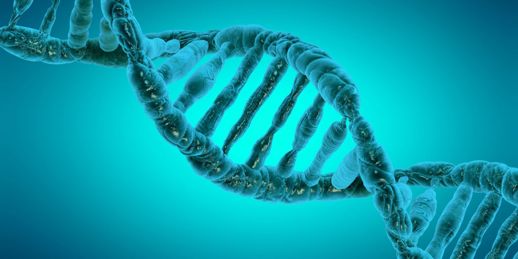 Genetic and Epigenetic Analysis: Unraveling the Blueprint of Health